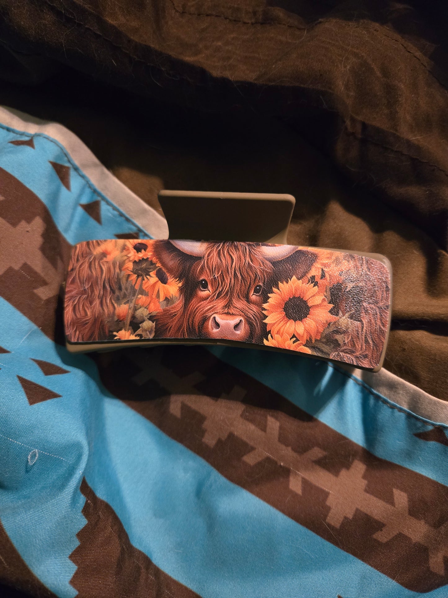 Western hair clips